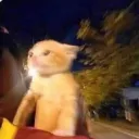 Heggo's avatar